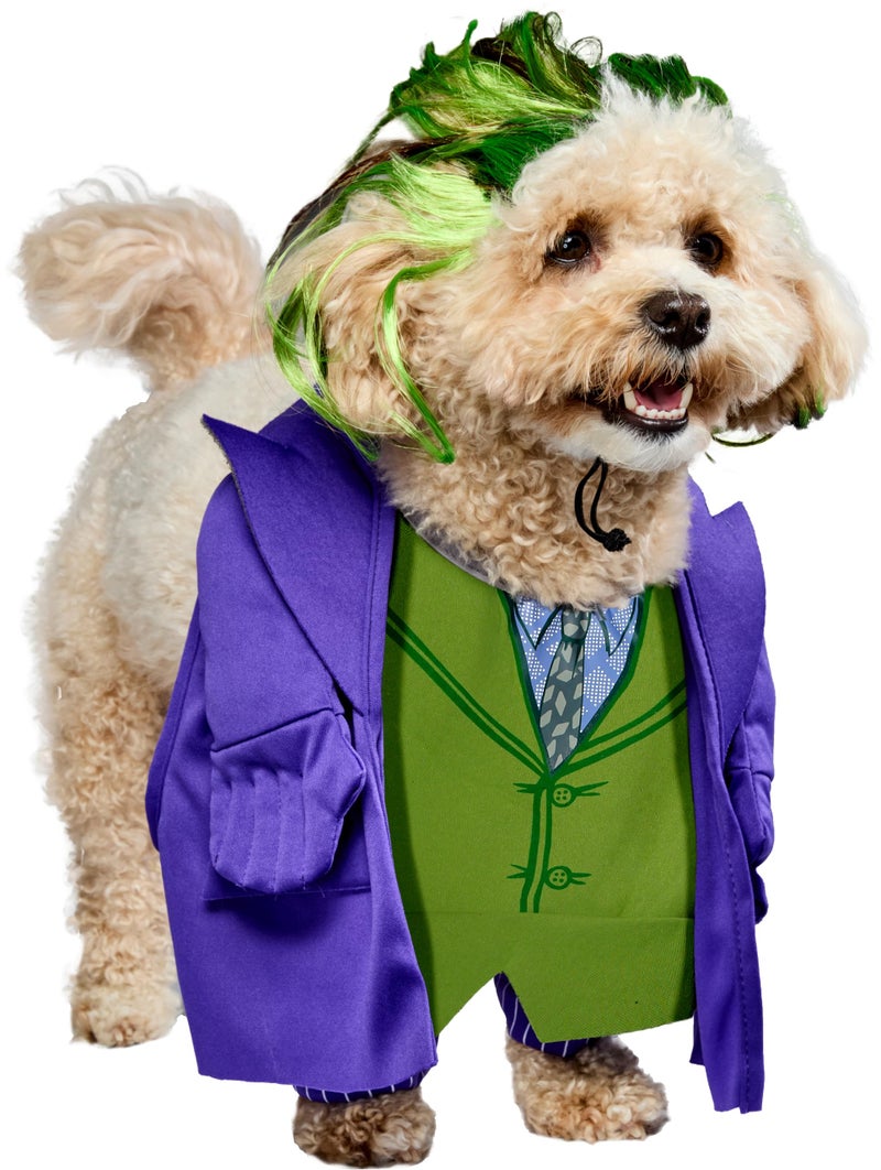 Rubies DC Batman The Dark Knight: The Joker Pet Costume for Dogs or Cats by Rubies, XL - Image 1